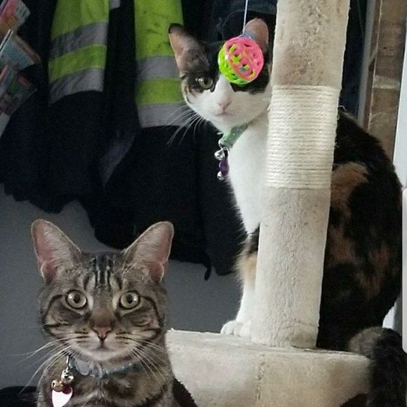 Meet your Posher, Scott - Picture 1 of 1